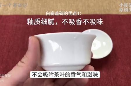 如何选择适合泡白茶的茶具？别让好茶白白浪费