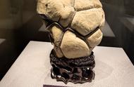 乌龟形状的龟纹石像🐢