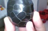 广元奇石爱好者花费两万余元购买鸡蛋大小的龟纹石