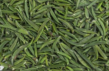 五年陈酿绿茶是否仍适宜饮用？答案在这里揭晓